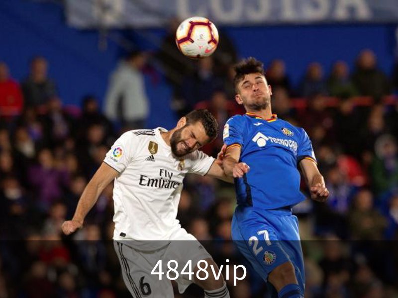 关于4848vip